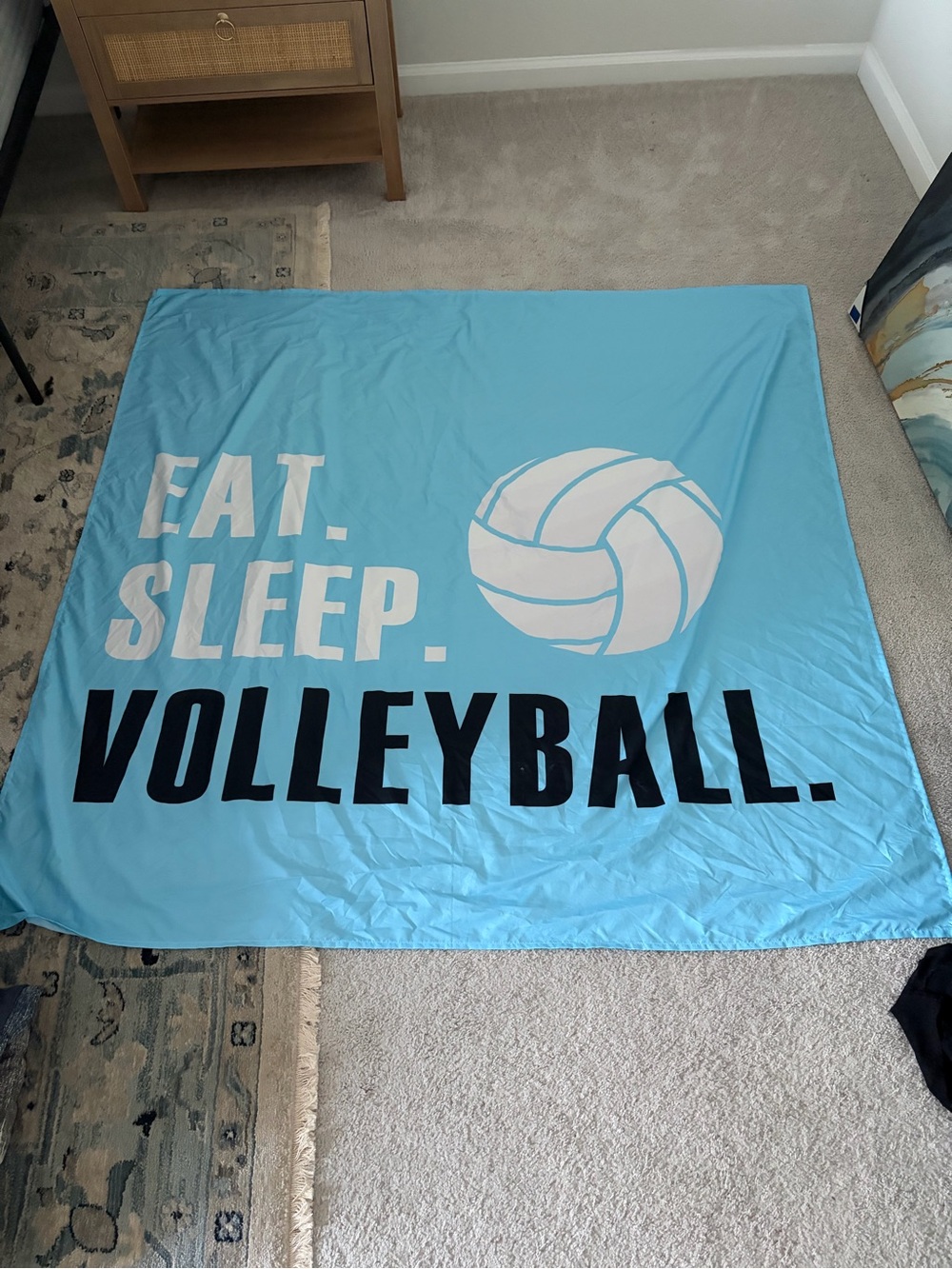 Volleyball tapestry